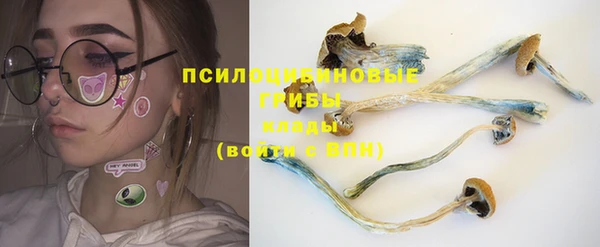 первитин Нея