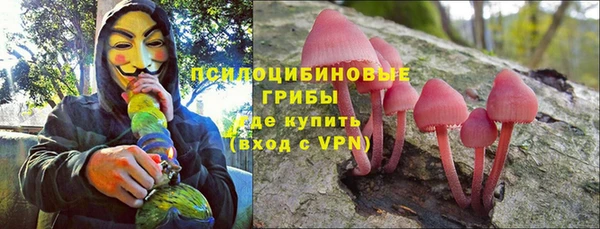 mdma Гатчина