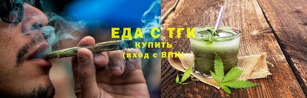 винт Галич