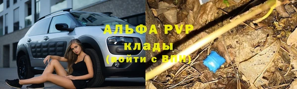 первитин Нея