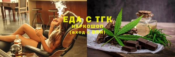 винт Галич